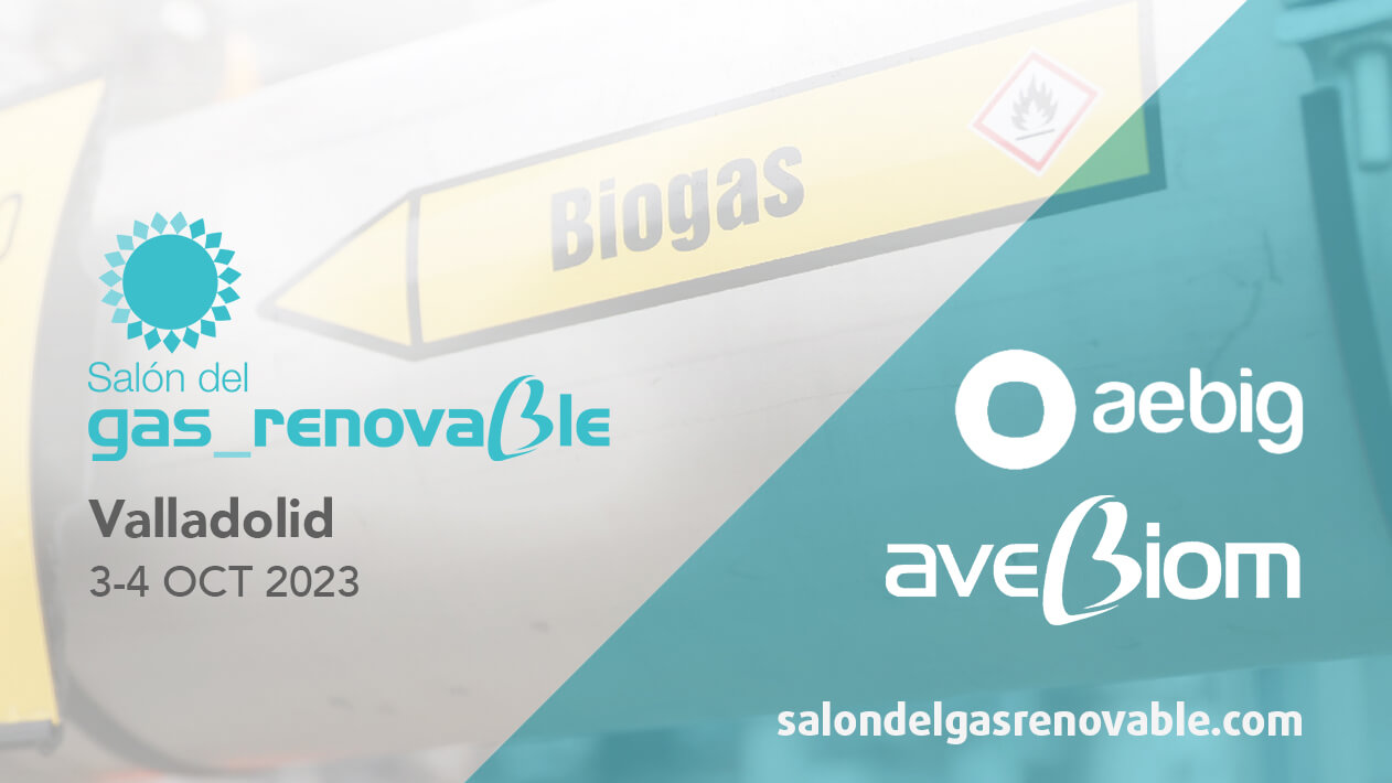 Featured image for “Salone del Gas Rinnovabile”