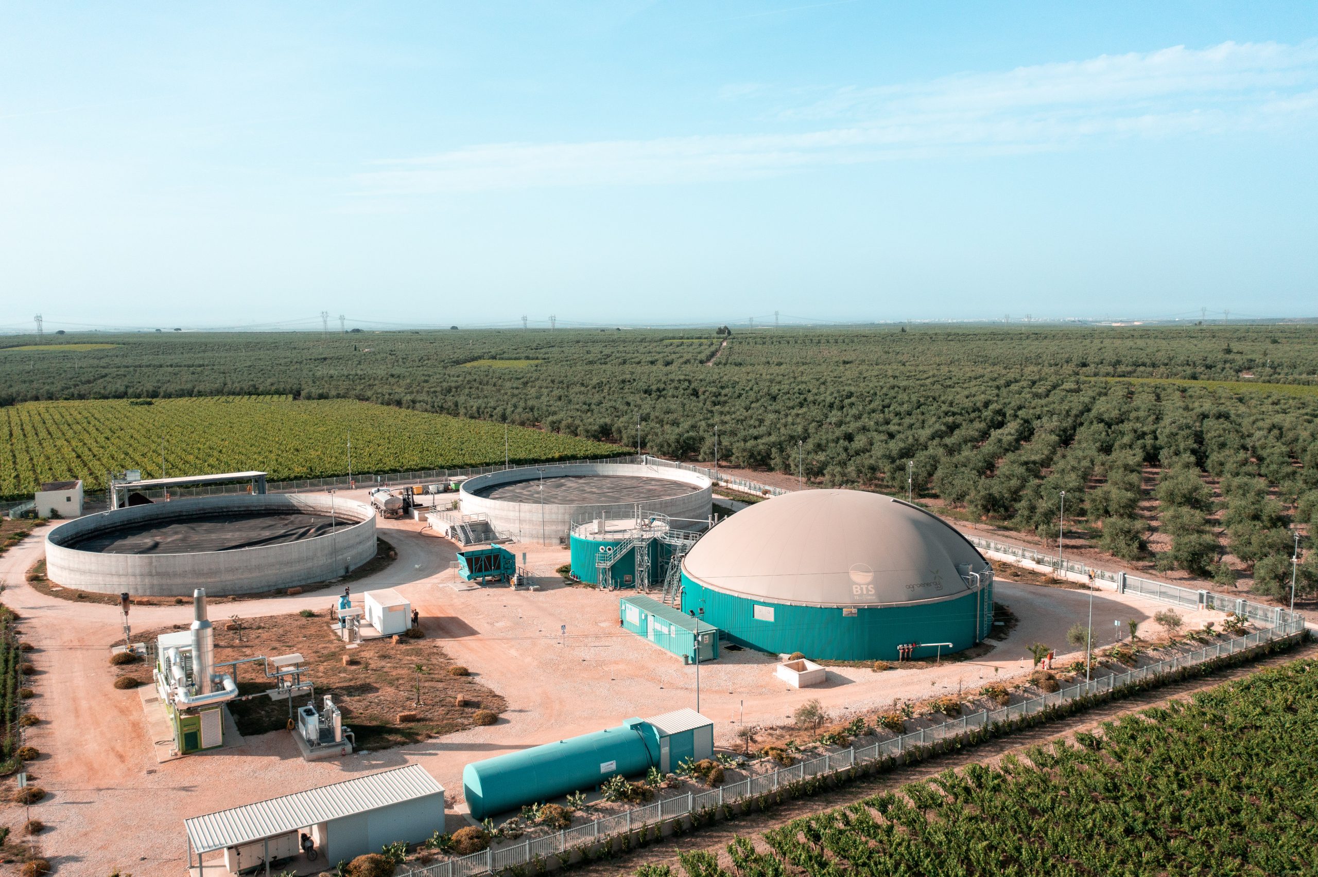 Featured image for “Energia dagli scarti della filiera dell’olio: BTS Biogas richiede il brevetto per un sistema che produce biogas usando solo sansa”